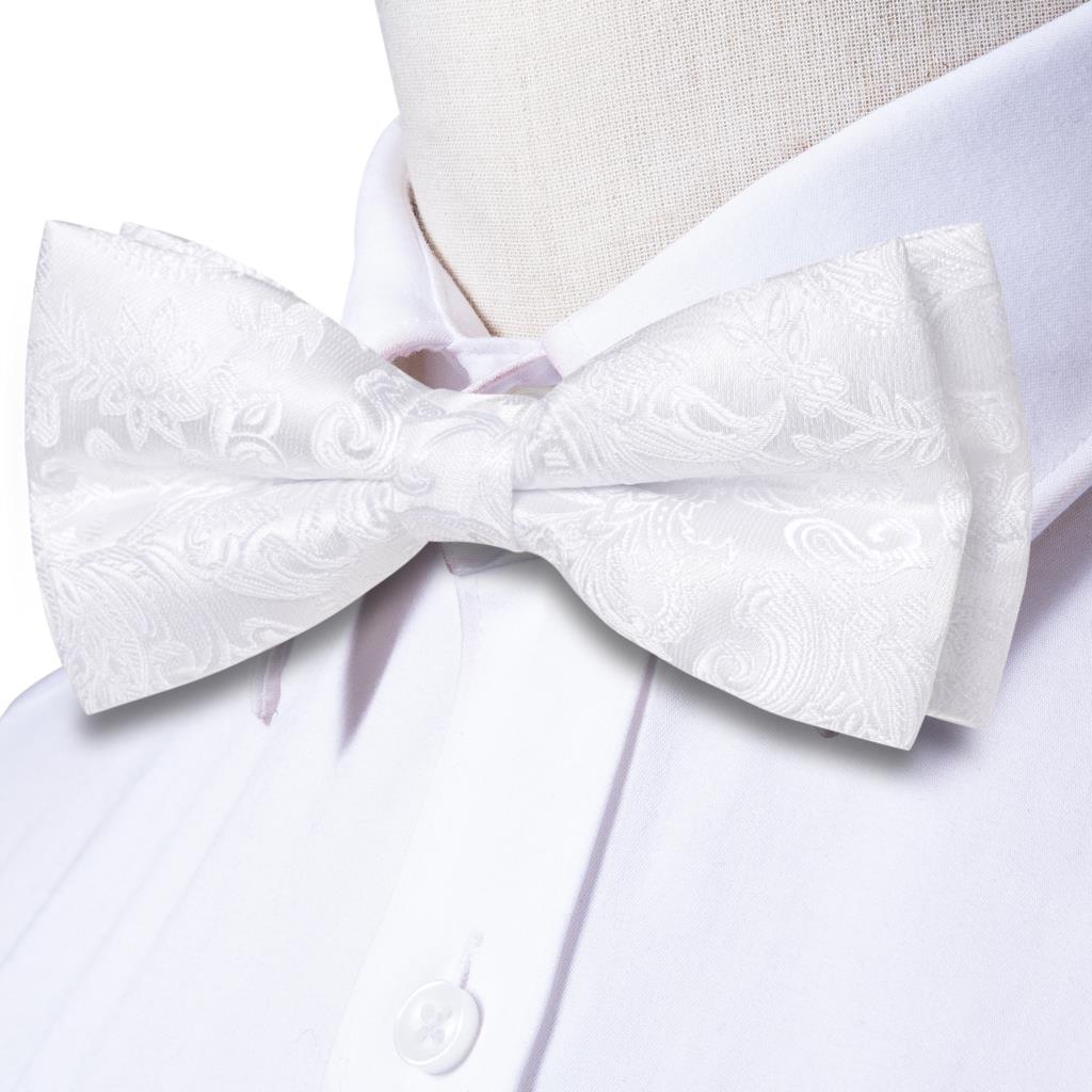 Set dasi kupu-kupu, sapu tanga - Bow Tie Pre Tied ulasan dan harga